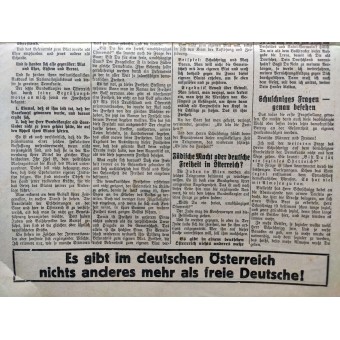 Journal électoral pour lallemand autrichien - le 10 Avril 1938. Espenlaub militaria