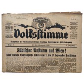 The Volksstimme - Hitler's newspaper 1929 pre 3 Reich - Jewish rush to Vienna