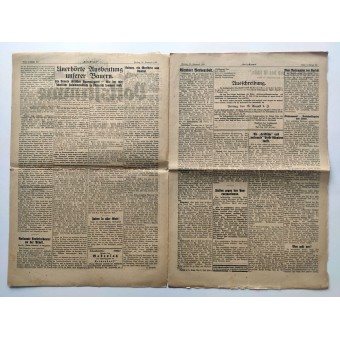 De VolksStimme - Hitlers Newspaper 1929 Pre 3 Reich - Joodse haast naar Wenen. Espenlaub militaria