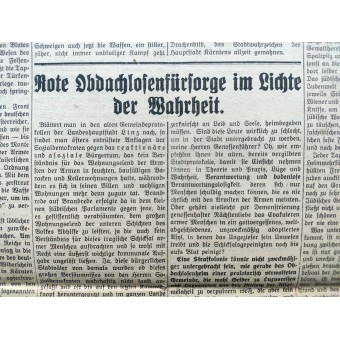 The Volksstimme - Hitlers newspaper 1929 pre 3 Reich - Parteitag in Carinthia. Espenlaub militaria