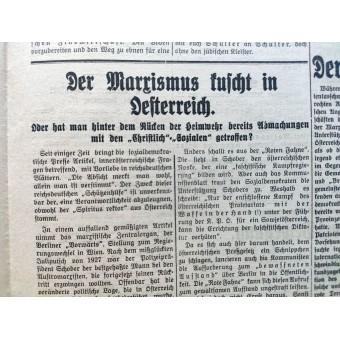 Volksstimme - Hitlers tidning 1929 före det tredje riket - Parteitag i Kärnten. Espenlaub militaria