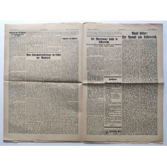 The Volksstimme - Hitlers newspaper 1929 pre 3 Reich - Parteitag in Carinthia. Espenlaub militaria