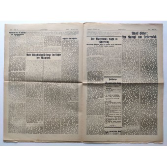 Volksstimme - Hitlers tidning 1929 före det tredje riket - Parteitag i Kärnten. Espenlaub militaria