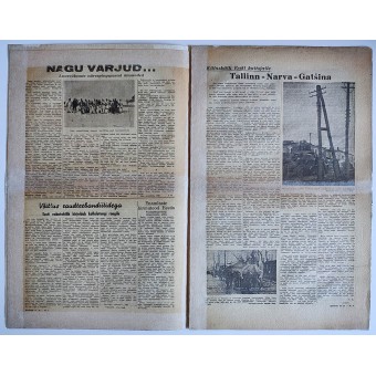 Journal des volontaires SS estoniens Rindeleht 1943. Espenlaub militaria