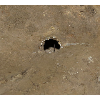 Battle relic find soviet mess kit and spoon. Espenlaub militaria