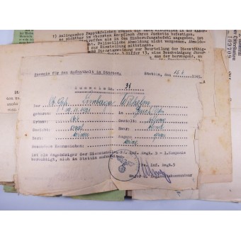 1940 Ahnenpass Livre des ancêtres de la lignée aryenne. Espenlaub militaria