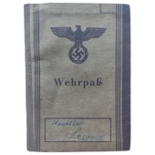 El Wehrpass expedido a una persona que comenzó su carrera militar a finales de marzo de 1945.
