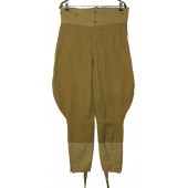 Pantalones de lana de la RKKA de la Segunda Guerra Mundial
