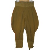 Pantaloni da ufficiale della RKKA per artiglieria o truppe corazzate.