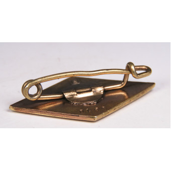 Goldenes HJ Ehrenzeichen, Ferdinand Hoffstätter номерной. Espenlaub militaria
