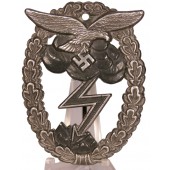 Erdkampfabzeichen der Luftwaffe-Arno Wallpach в Зальцбурге