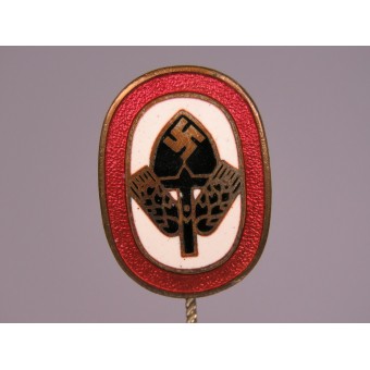 Broche conmemorativo de la RAD ATH. Espenlaub militaria