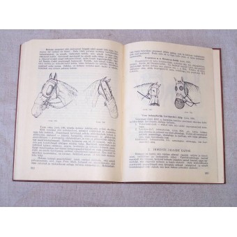 Battaglia Gas - manuale / libro. Maschere antigas, bombe a gas di battaglia, tute di protezione, maschere antigas cavallo, tattica ... 1928 anni.. Espenlaub militaria