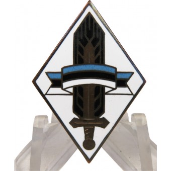 « Eesti Noored » badge pour les jeunes estoniens dans le 3ème Reich Service. Espenlaub militaria