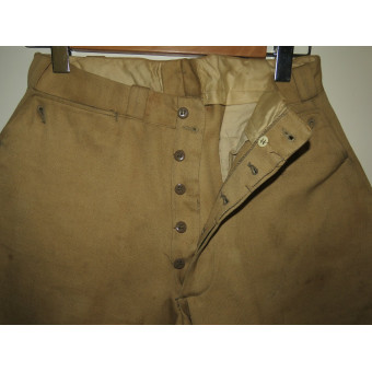 Tropical breeches Waffen-SS. Espenlaub militaria