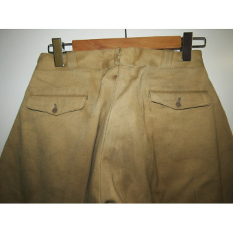 Tropical breeches Waffen-SS. Espenlaub militaria