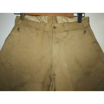 Tropical breeches Waffen-SS. Espenlaub militaria