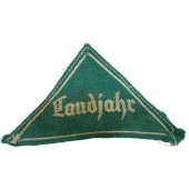Landjahr Jagergrün sleeve triangle for the HJ