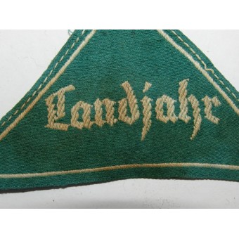 Landjahr Jagergrün sleeve triangle for the HJ. Espenlaub militaria