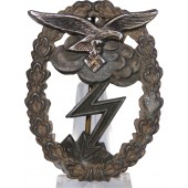 Нагрудный знак " Туча " за наземные бои военнослужащих Люфтваффе