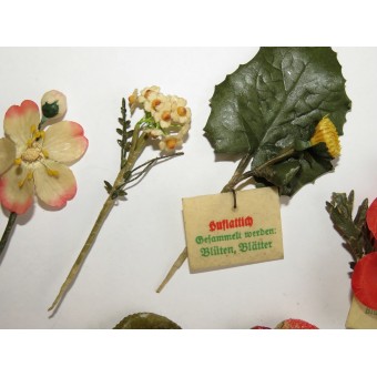 10 значков из серии WHW 3го Рейха: гомеопатические растения. Espenlaub militaria
