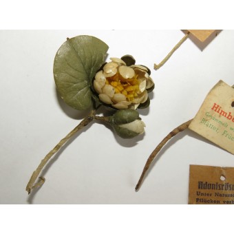 10 значков из серии WHW 3го Рейха: гомеопатические растения. Espenlaub militaria