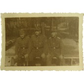 Фото командиров, Латышских легионеров СС.  8,5 х 6 см