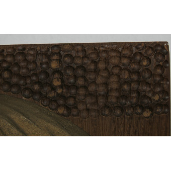 Bronze cast bas-relief of Adolf Hitler on an oak panel