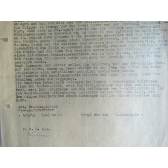 Архивное дело SS-Rottenführer Fritz Bruckner, SS- und Polizeiführer Galizien. Espenlaub militaria