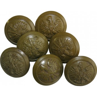 Set di 7 WW2 polacchi tasti di plastica, Esercito Polacco, Armia Krajowa.. Espenlaub militaria