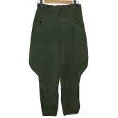 Pantaloni dell'esercito o delle Waffen-SS