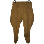 Pantaloni di lana SA der NSDAP. Calzettoni SA