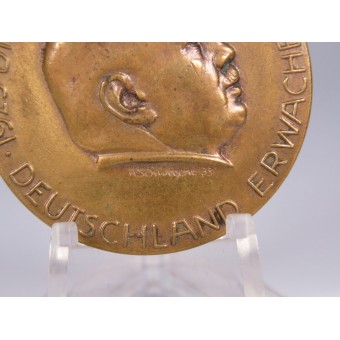 NSDAP Dietrich Eckart Medaille Deutschland Erwache 1923-1933. Espenlaub militaria