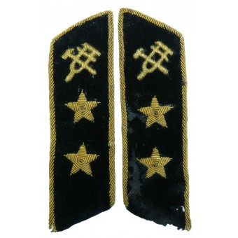 Lengüetas de cuello del Ministerio de Ferrocarriles de la URSS modelo 1955. Director General. Espenlaub militaria