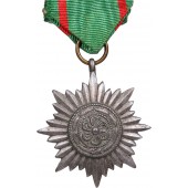 Восточная медаль Verdienstauszeichnung für Ostvölker 2. Klasse in Gold