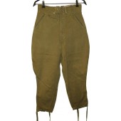 Deutsche Afrika Korps - DAK tropical trousers