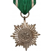 Медаль для восточных народов "За заслуги" второго класса, без мечей в серебре