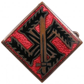 Unknown rare badge of one of the units of the Nazi Party in 3rd Reich. Espenlaub militaria