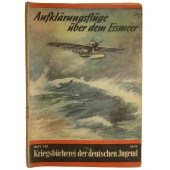 "Scouting flight over Eismeer"