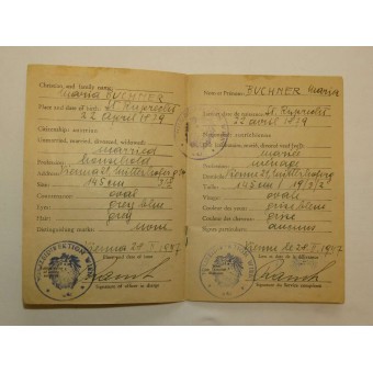 Österreichischer Personalausweis für die Zeit der alliierten Besatzung. Espenlaub militaria