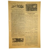 Red Navy Zeitung 