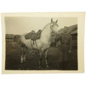 Foto des Rotarmisten mit Pferd Kazbek. Jahr 1943