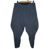 Бриджи Luftwaffe