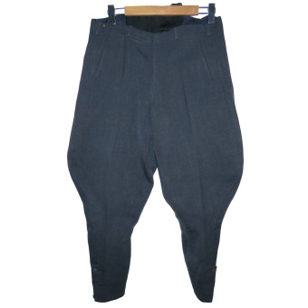 Бриджи Luftwaffe. Espenlaub militaria