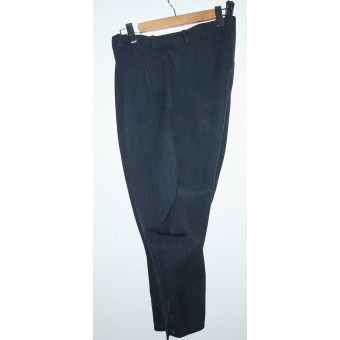 Бриджи Luftwaffe. Espenlaub militaria