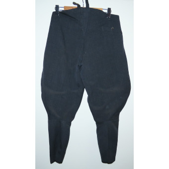 Бриджи Luftwaffe. Espenlaub militaria