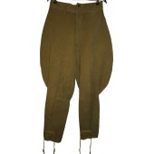 Pantalone in cotone M 35 dell'Armata Rossa, non marcato