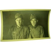 Alkuperäinen toisen maailmansodan aikainen postikärryn kokoinen Gebirgsjager-valokuva.