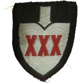 Set di scudi da ufficiale ricamati a filo piatto del Reichsarbeitsdienst XXX-30 Arbeits Gauleitung