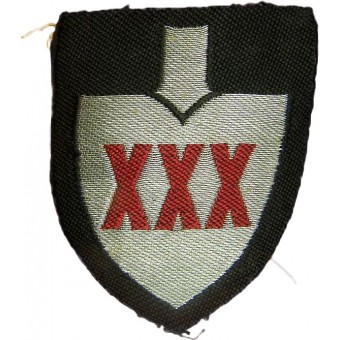 Conjunto Reichsarbeitsdienst de XXX-30 Arbeits Gauleitung flatwire oficiales bordadas manga escudos. Espenlaub militaria